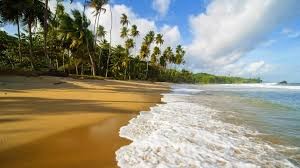 пляж пальма океан куба