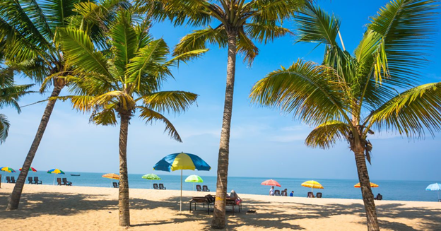 отдых на пляжах Гоа и Кералы
